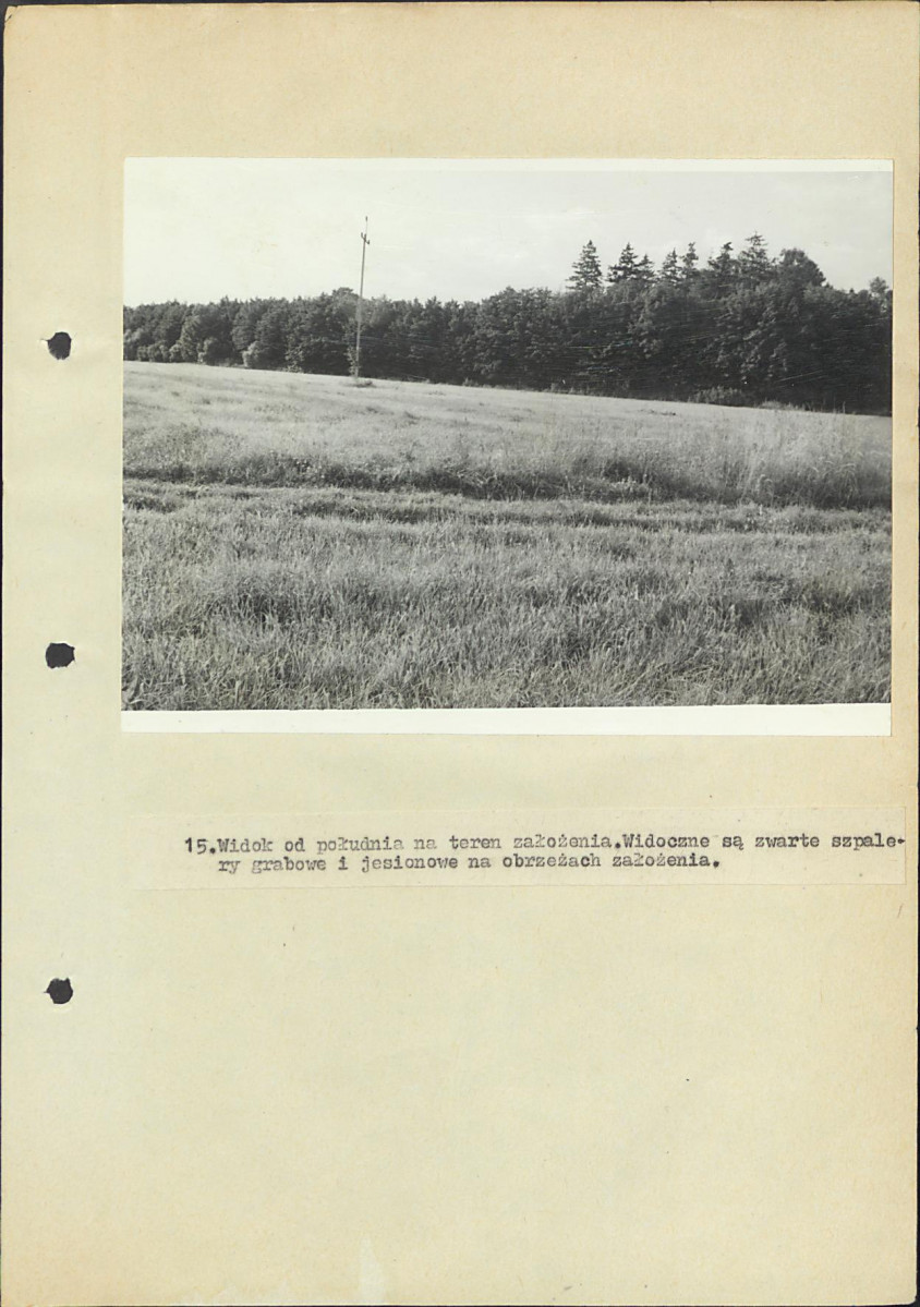 EP - Ewidencja parkowa, skan nr 46