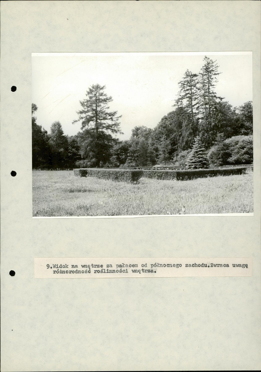 EP - Ewidencja parkowa, skan nr 51