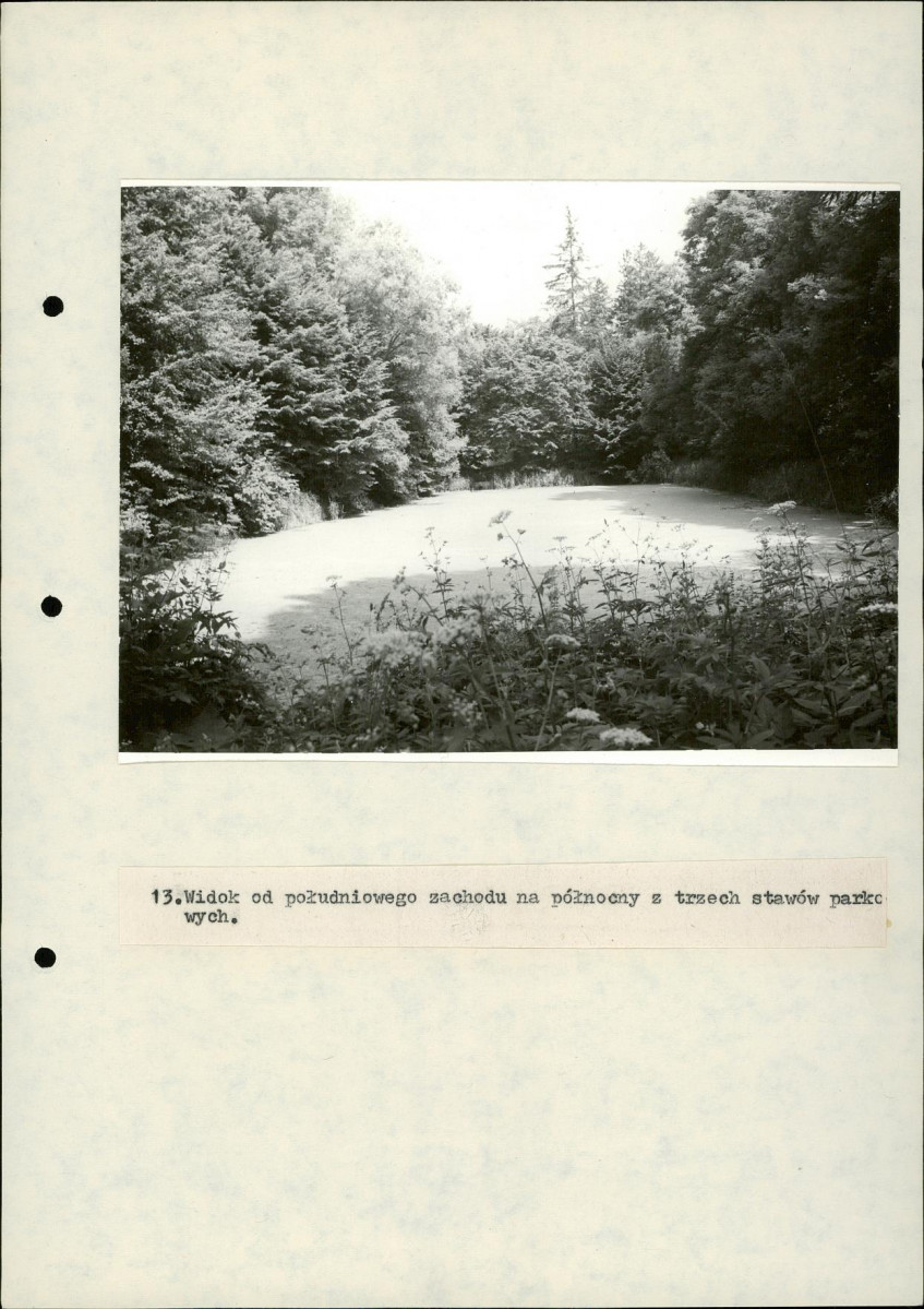 EP - Ewidencja parkowa, skan nr 55