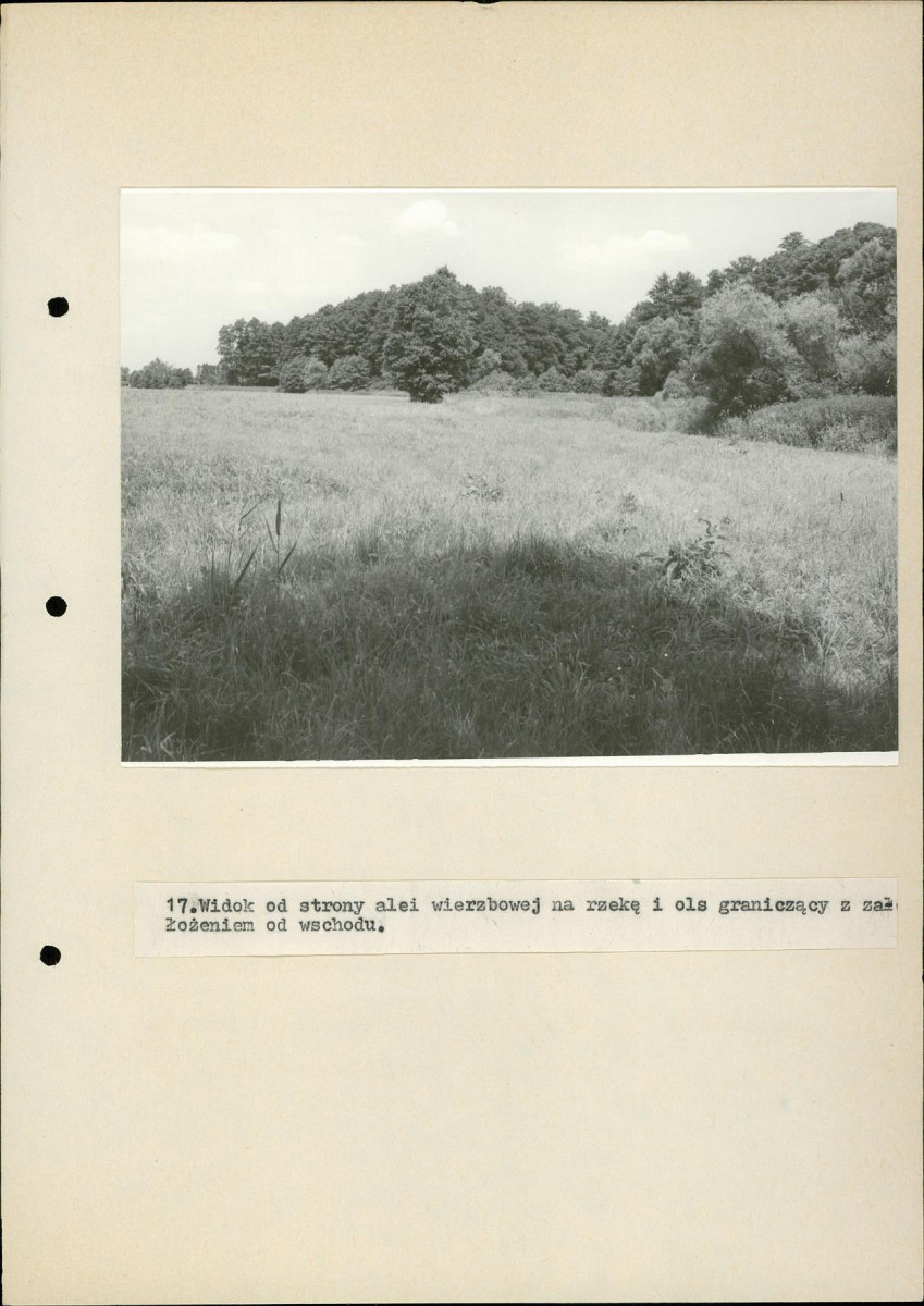 EP - Ewidencja parkowa, skan nr 59