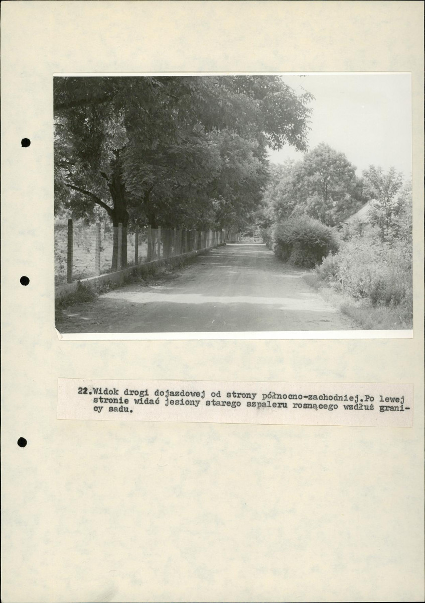 EP - Ewidencja parkowa, skan nr 64