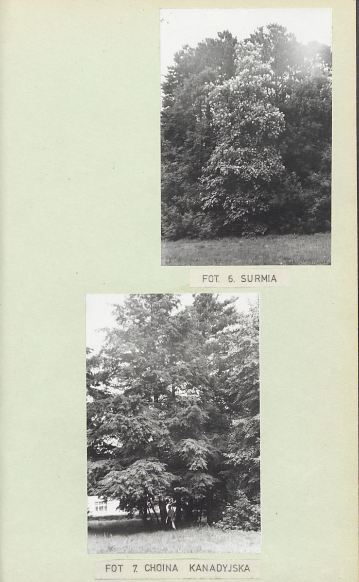 EP - Ewidencja parkowa, skan nr 24
