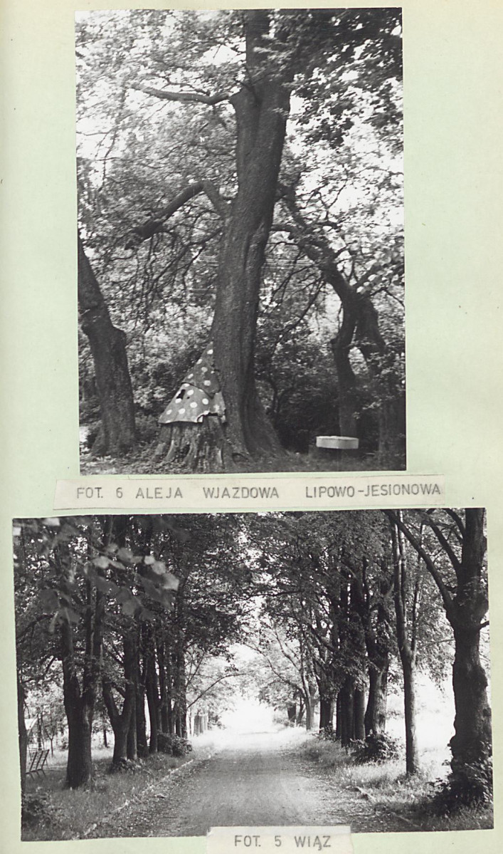 Ewidencja parkowa, skan nr 26