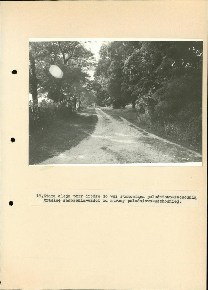 EP - Ewidencja parkowa, skan nr 42