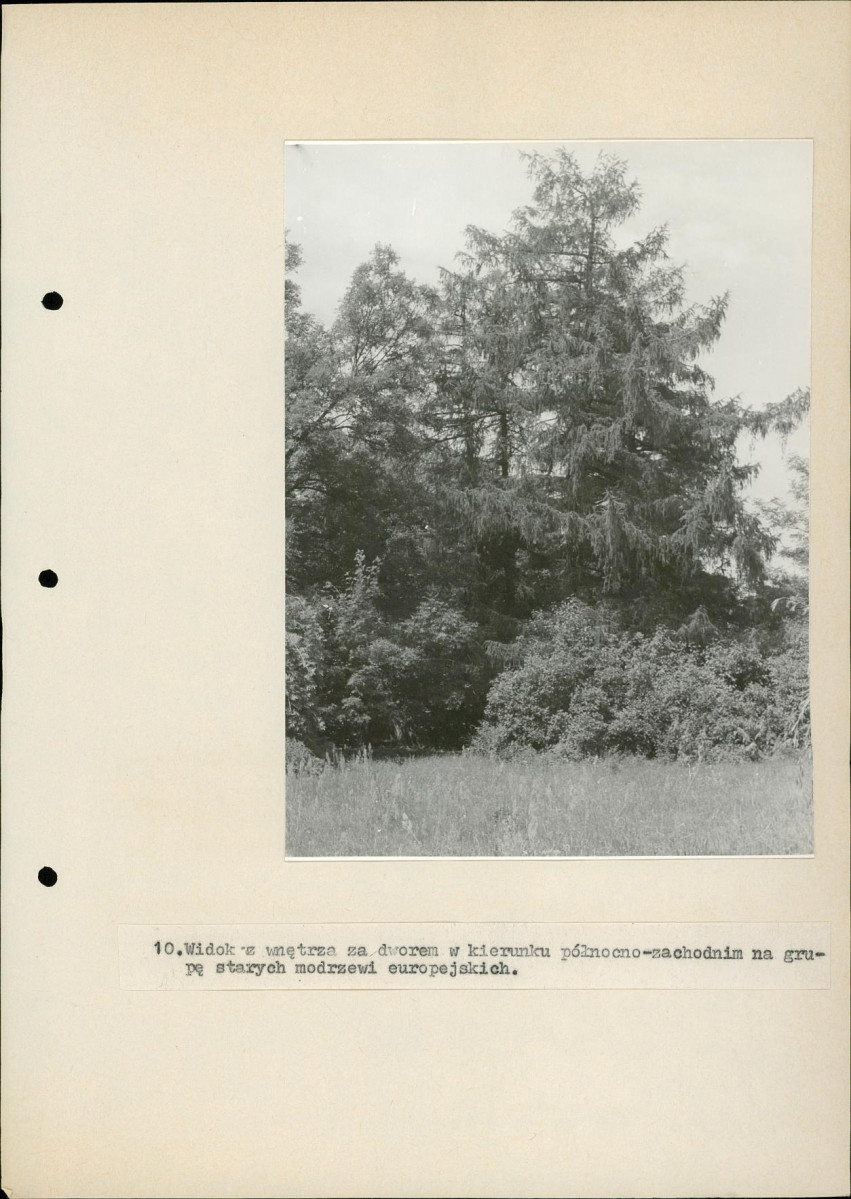 EP - Ewidencja parkowa, skan nr 36