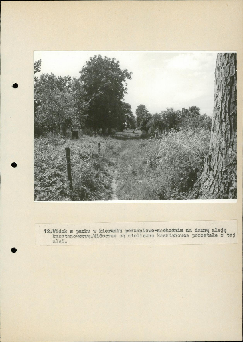 EP - Ewidencja parkowa, skan nr 38