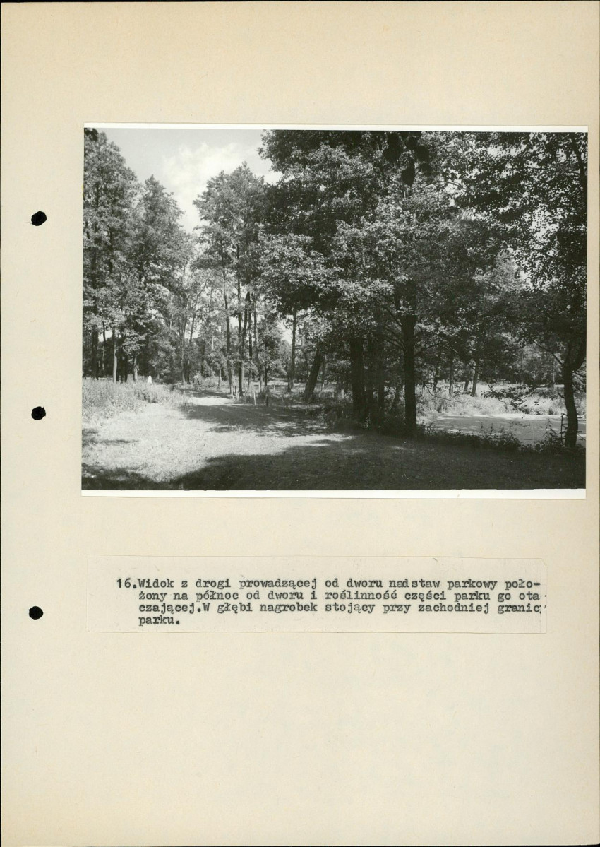 EP - Ewidencja parkowa, skan nr 48