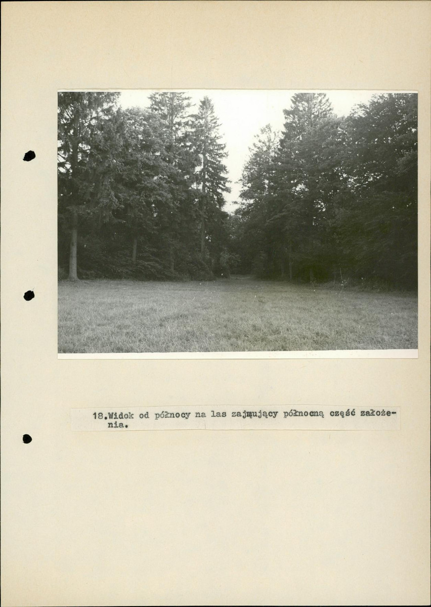 EP - Ewidencja parkowa, skan nr 50