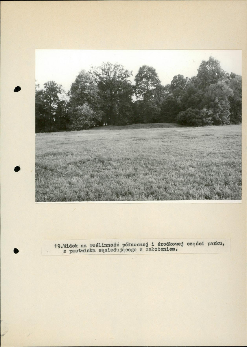 EP - Ewidencja parkowa, skan nr 51