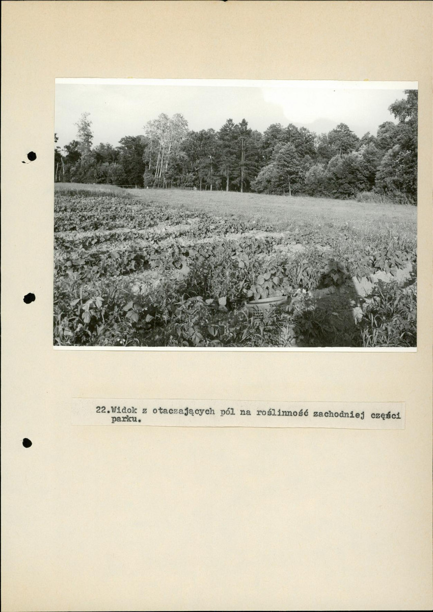 EP - Ewidencja parkowa, skan nr 54