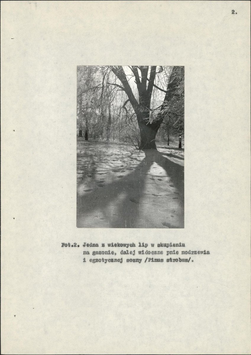 EP - Ewidencja parkowa, skan nr 20