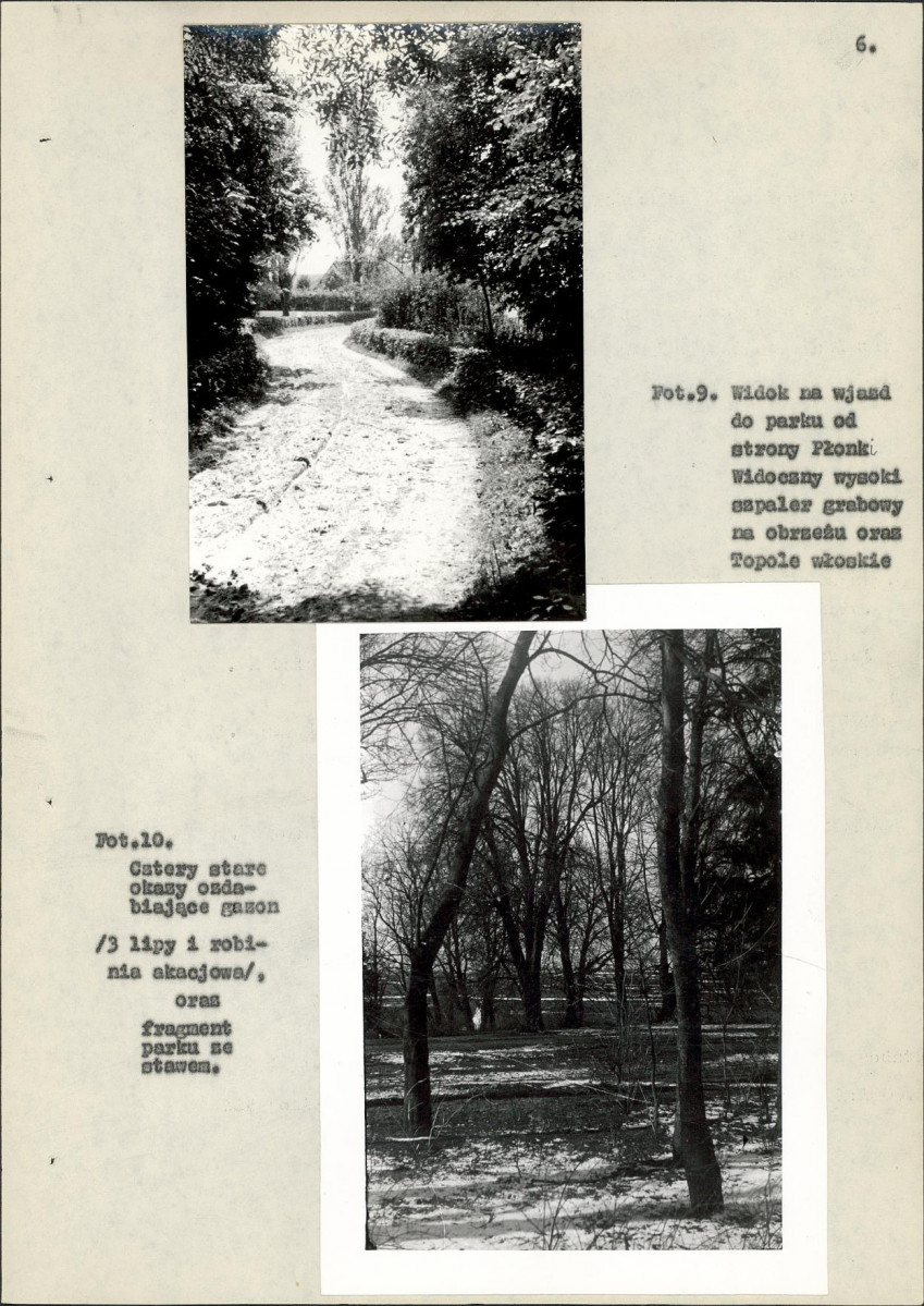 EP - Ewidencja parkowa, skan nr 24