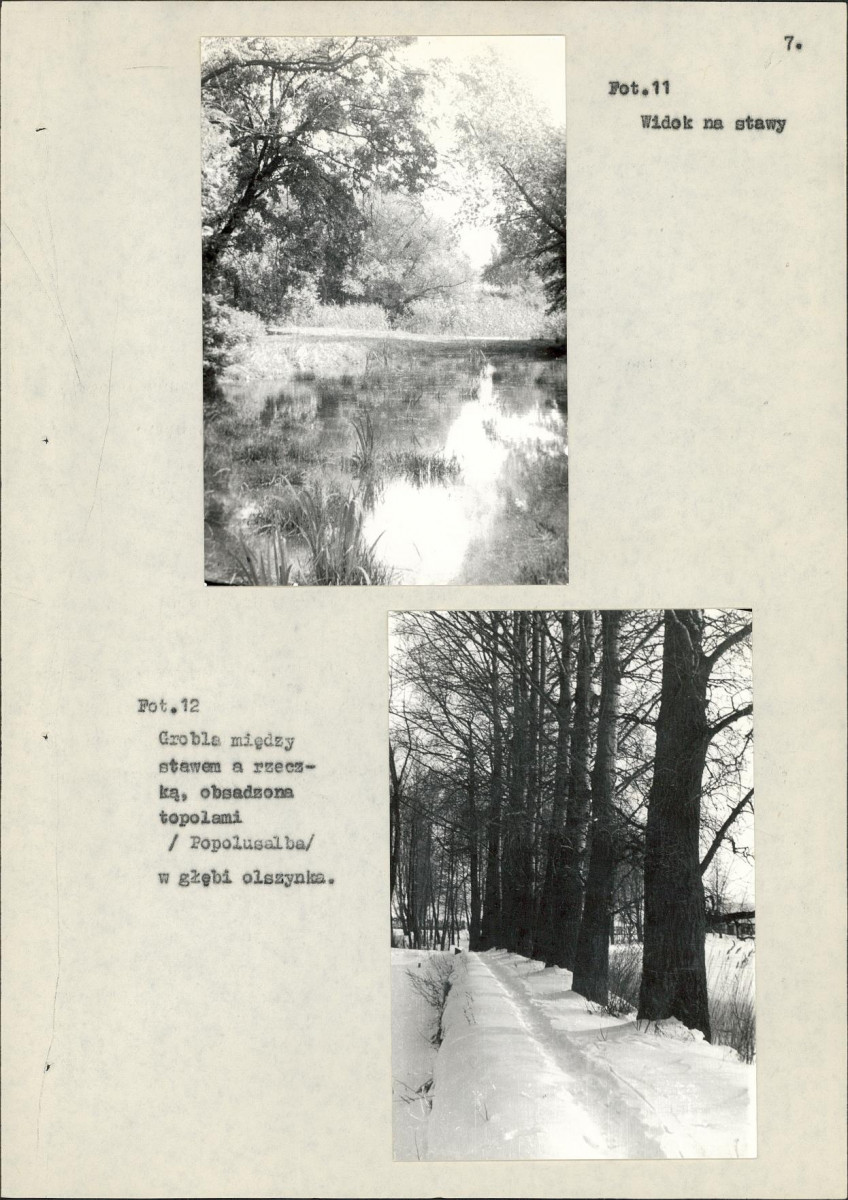 EP - Ewidencja parkowa, skan nr 25