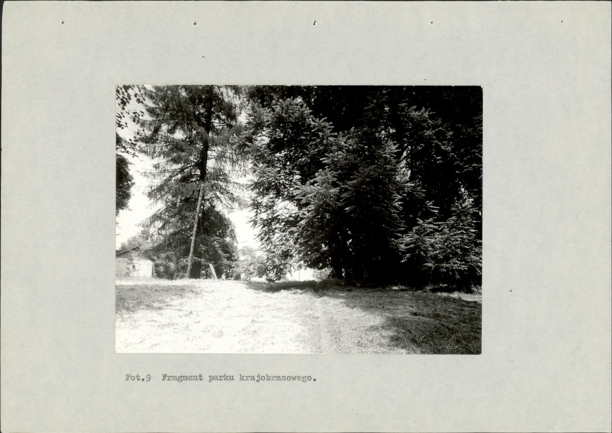 EP - Ewidencja parkowa, skan nr 51