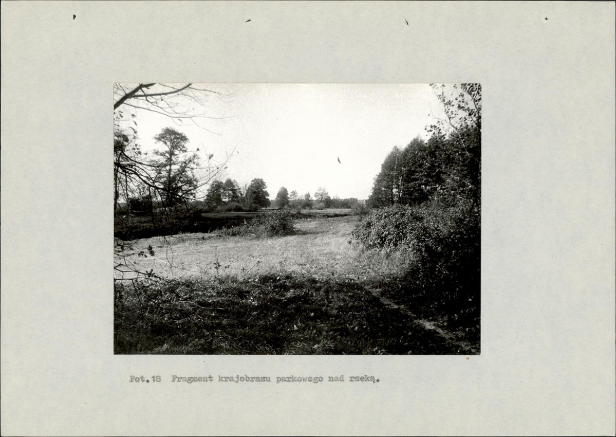 Ewidencja parkowa, skan nr 46