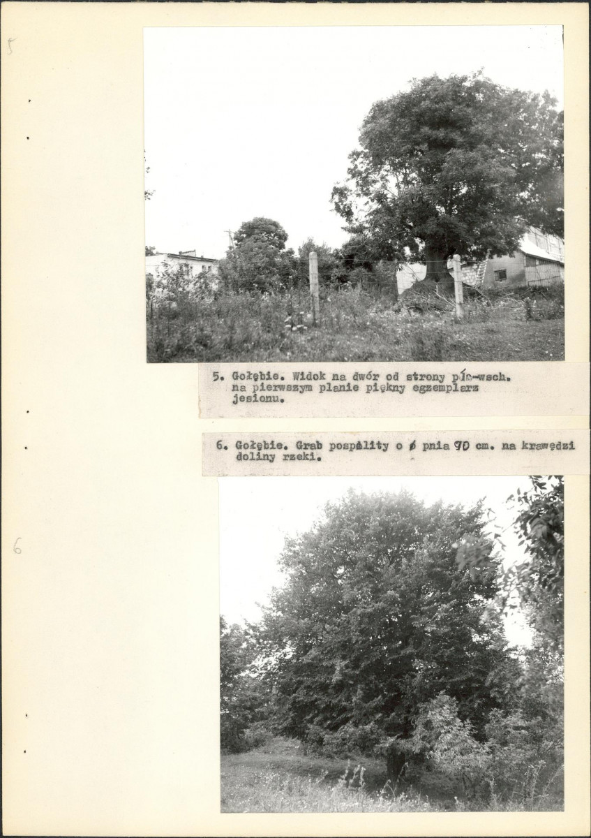 EP - Ewidencja parkowa, skan nr 20