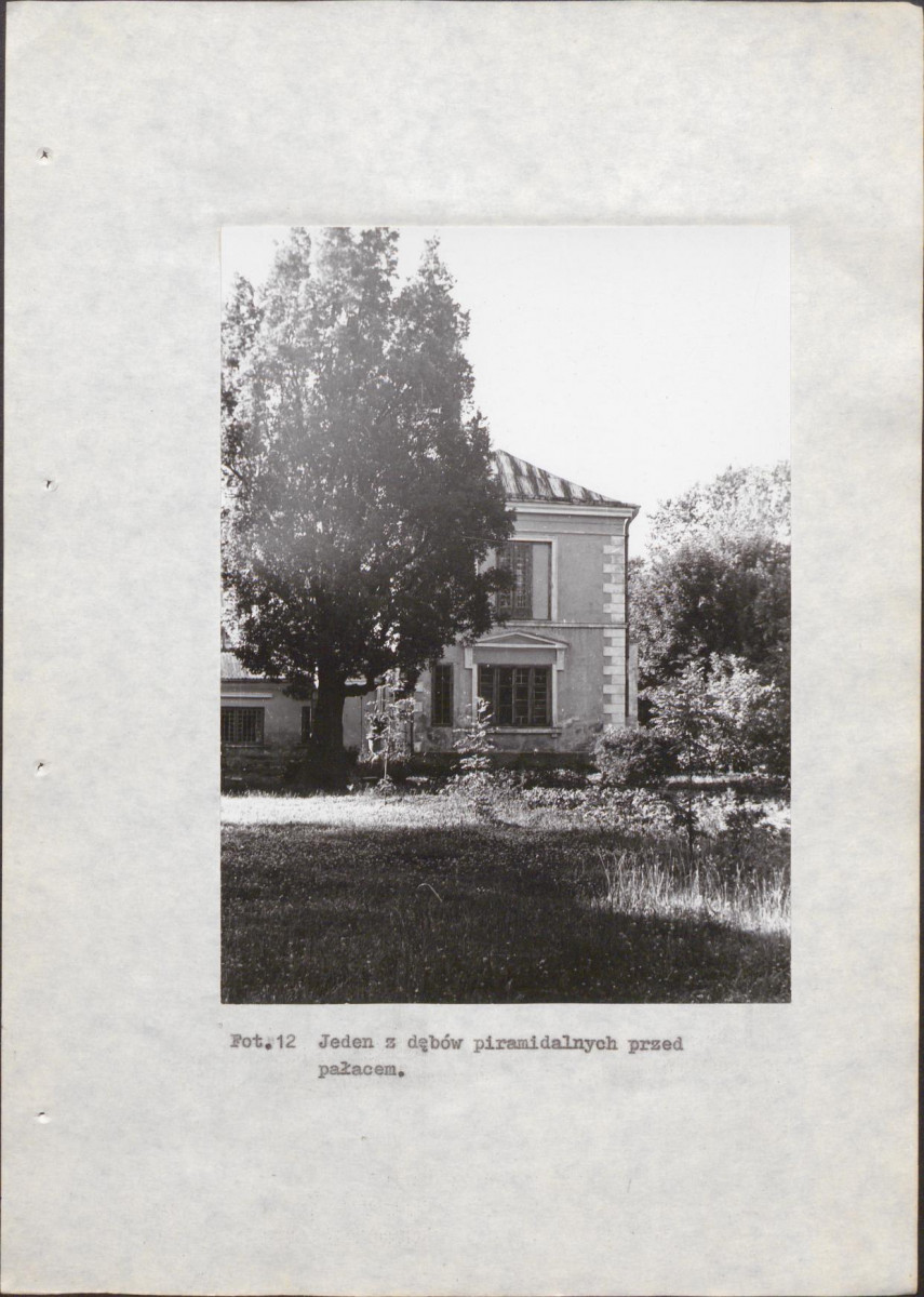 EP - Ewidencja parkowa, skan nr 44