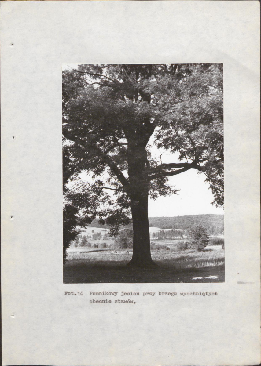 EP - Ewidencja parkowa, skan nr 46