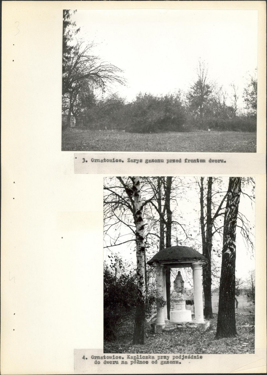 EP - Ewidencja parkowa, skan nr 19