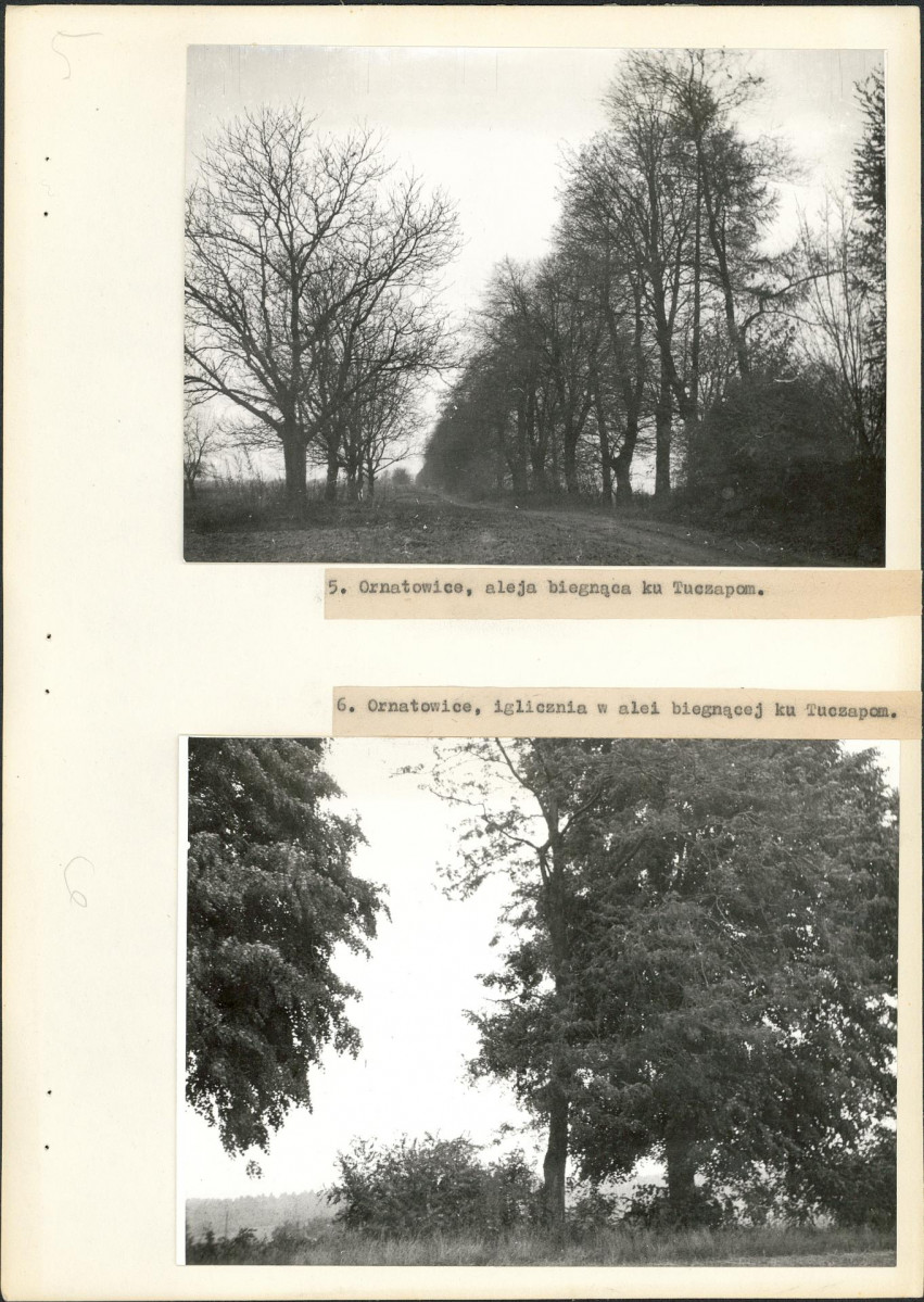 EP - Ewidencja parkowa, skan nr 20