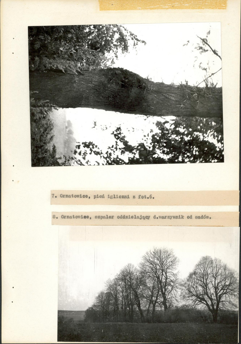 EP - Ewidencja parkowa, skan nr 21