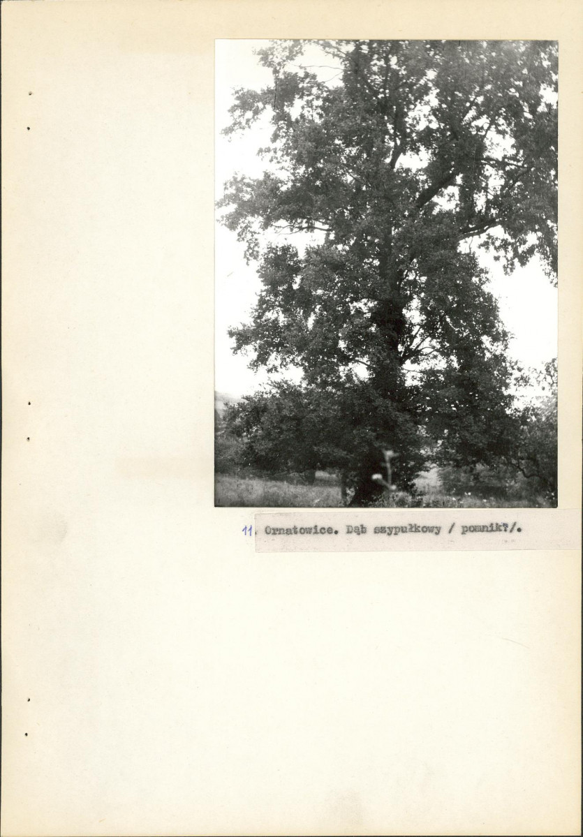 EP - Ewidencja parkowa, skan nr 23