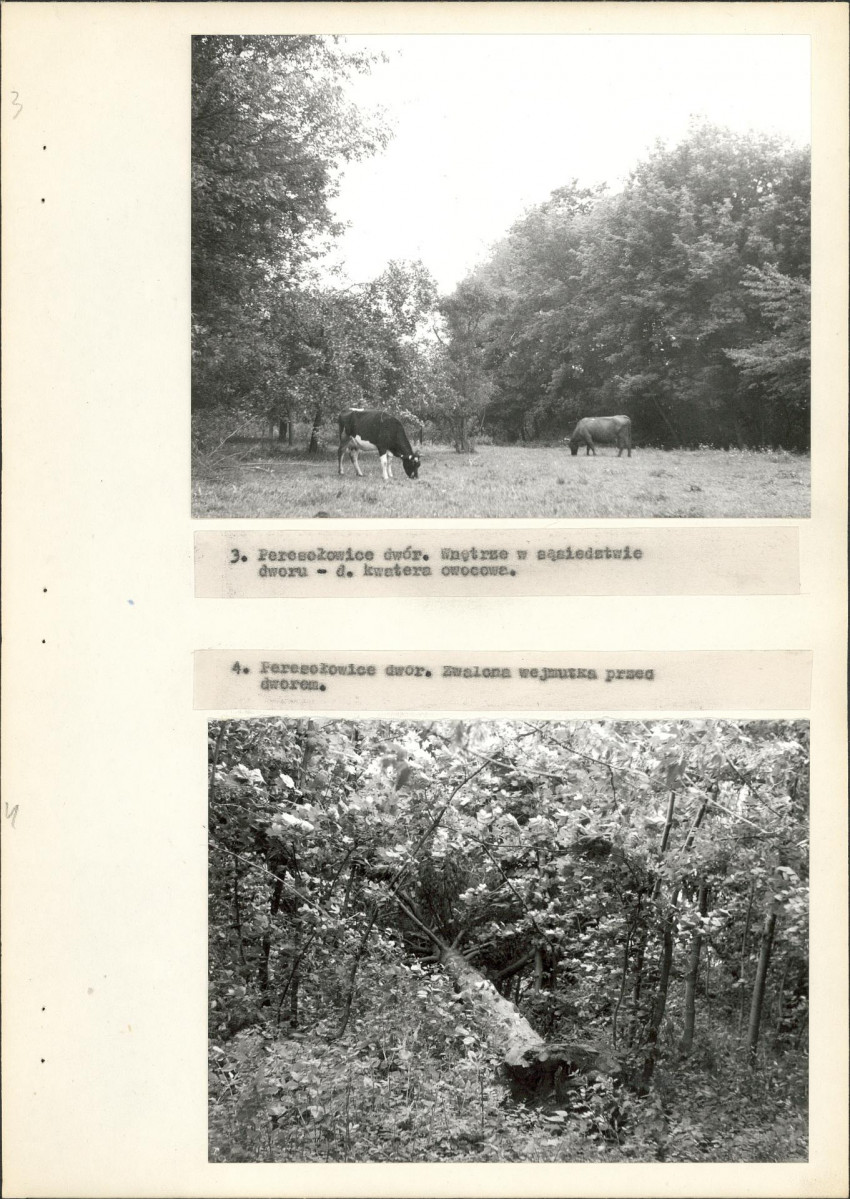 EP - Ewidencja parkowa, skan nr 18