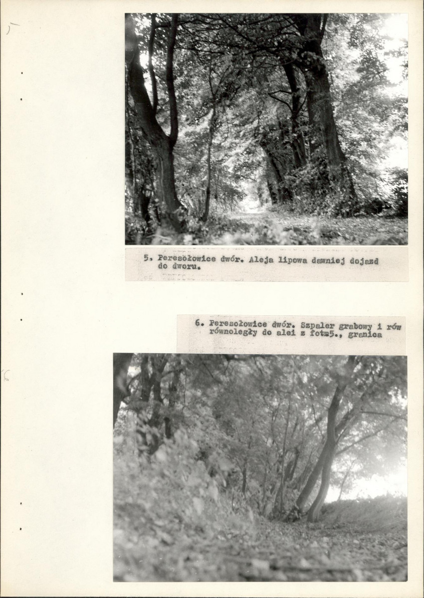EP - Ewidencja parkowa, skan nr 19