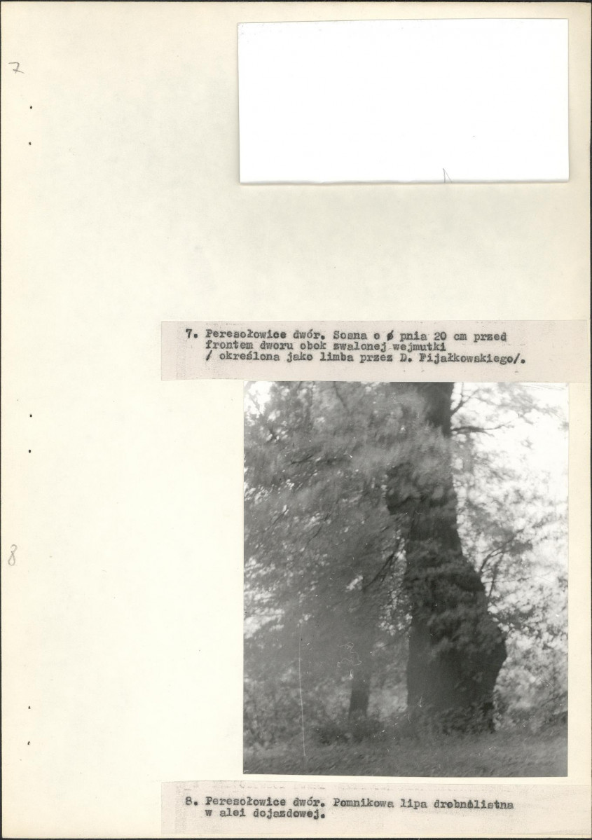 EP - Ewidencja parkowa, skan nr 21