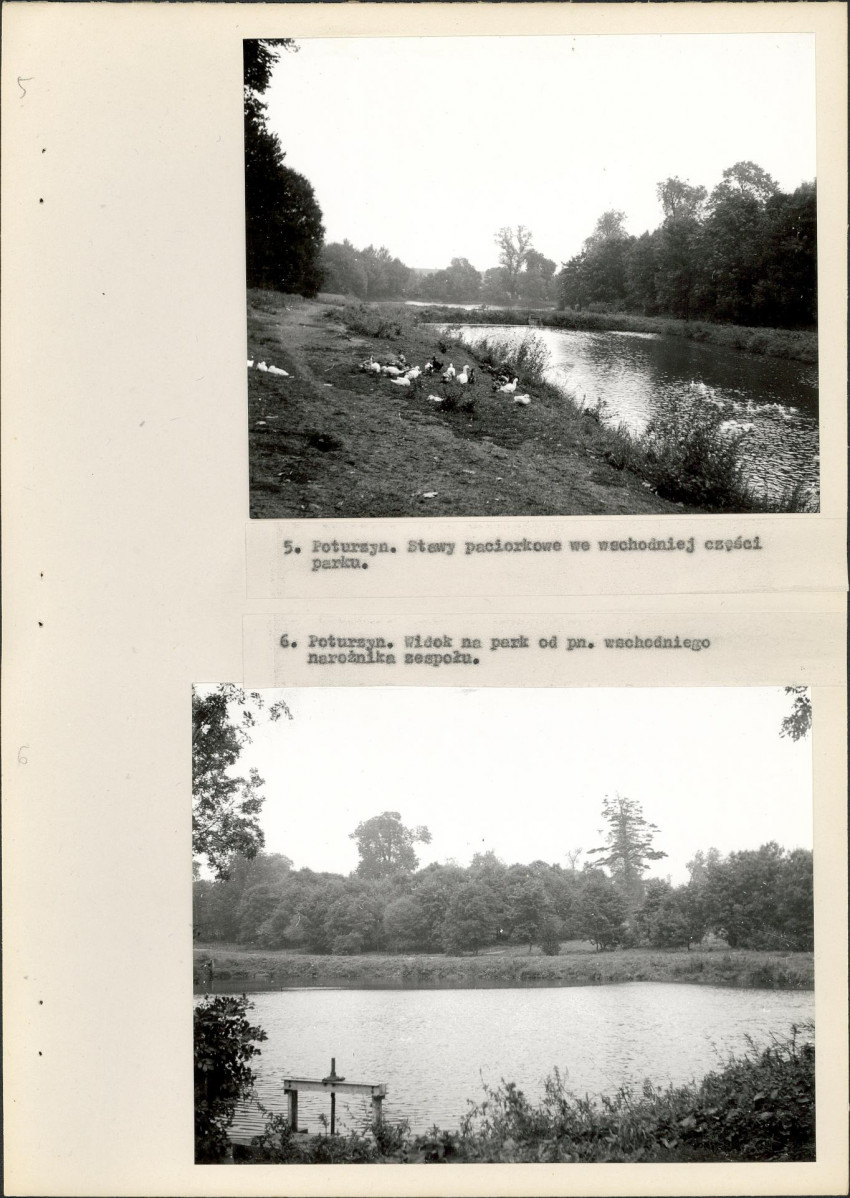 EP - Ewidencja parkowa, skan nr 20