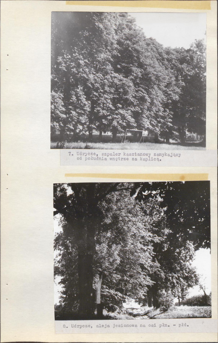 EP - Ewidencja parkowa, skan nr 24