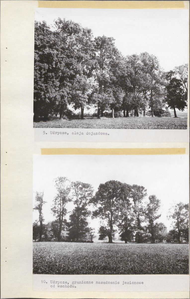 EP - Ewidencja parkowa, skan nr 25