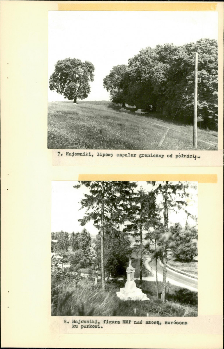 EP - Ewidencja parkowa, skan nr 20