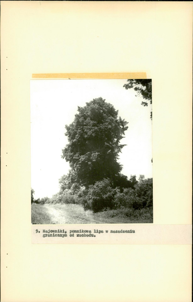 EP - Ewidencja parkowa, skan nr 21