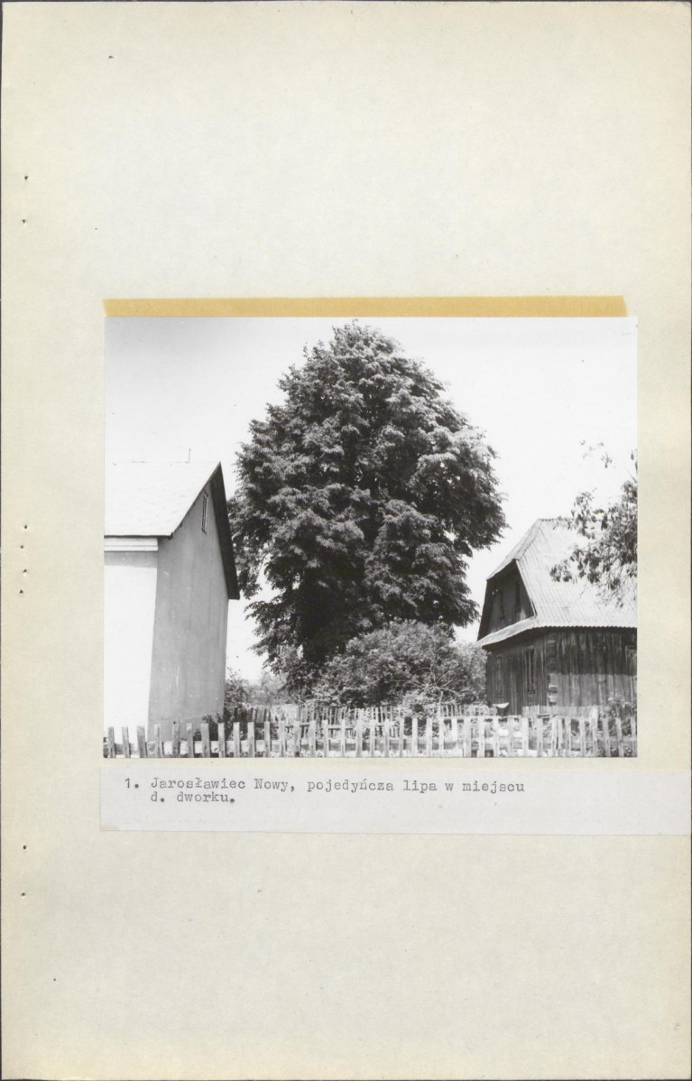 EP - Ewidencja parkowa, skan nr 20