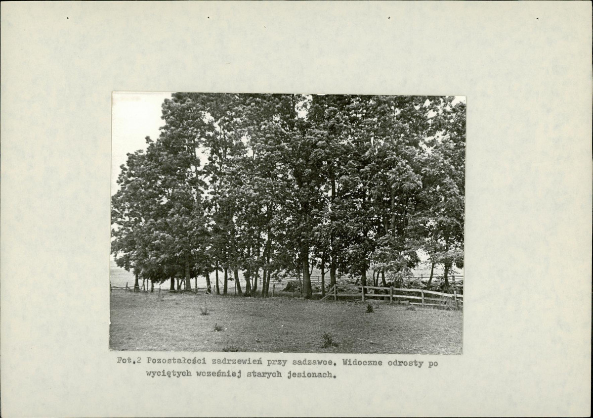 EP - Ewidencja parkowa, skan nr 28