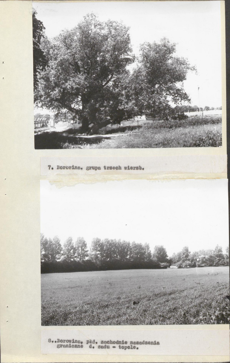 EP - Ewidencja parkowa, skan nr 10