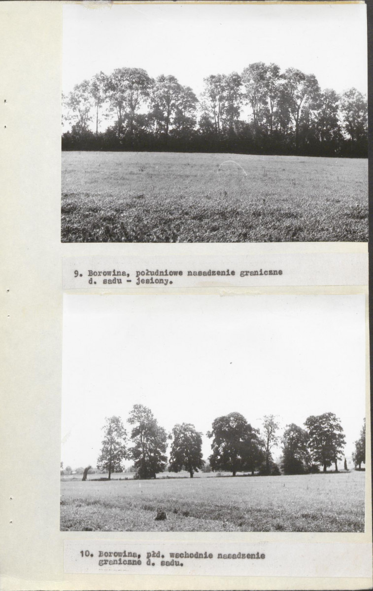 EP - Ewidencja parkowa, skan nr 11
