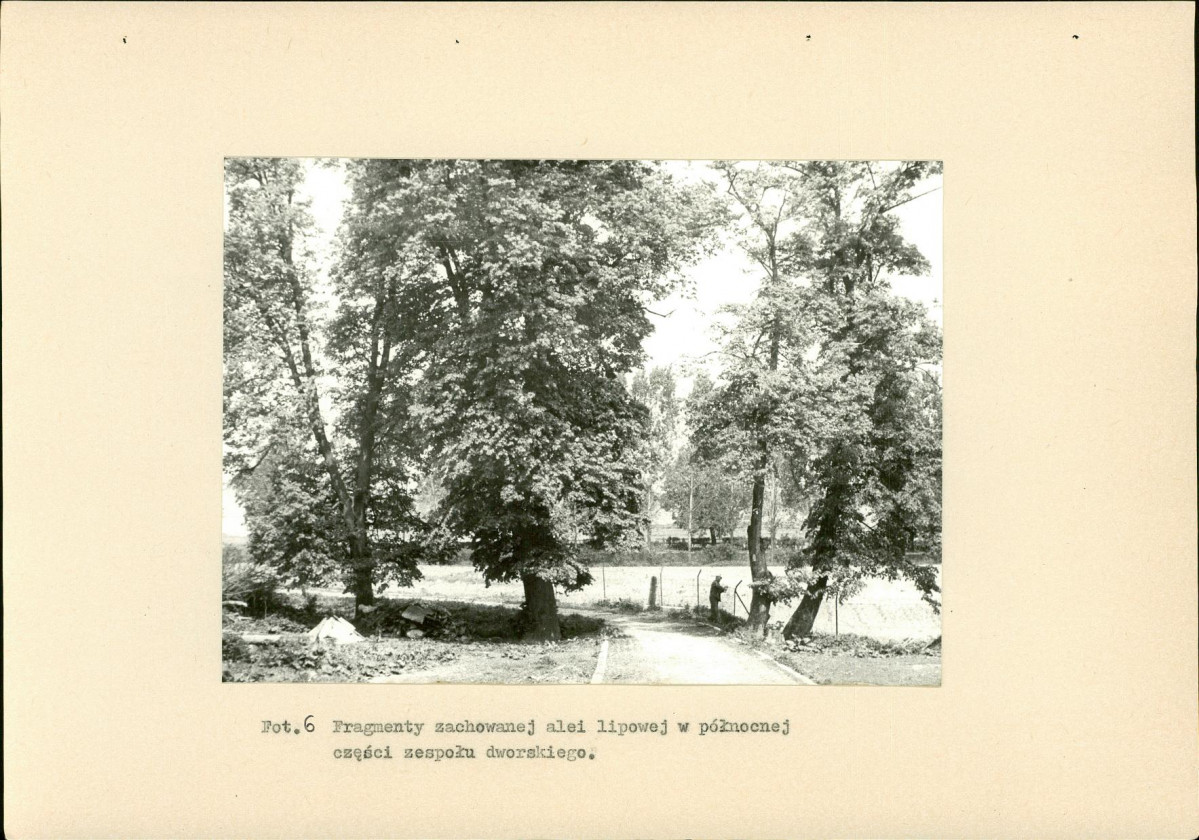 EP - Ewidencja parkowa, skan nr 46