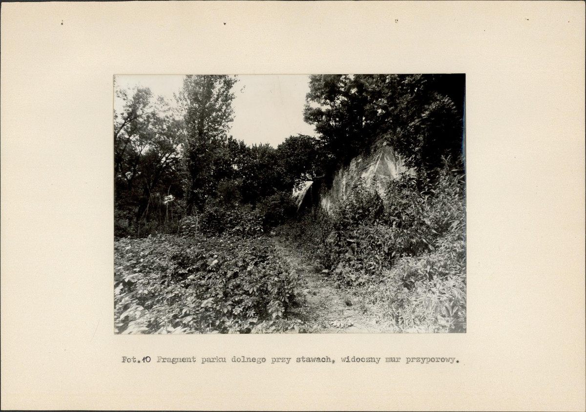 EP - Ewidencja parkowa, skan nr 50