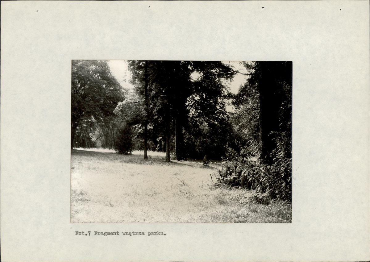 EP - Ewidencja parkowa, skan nr 37