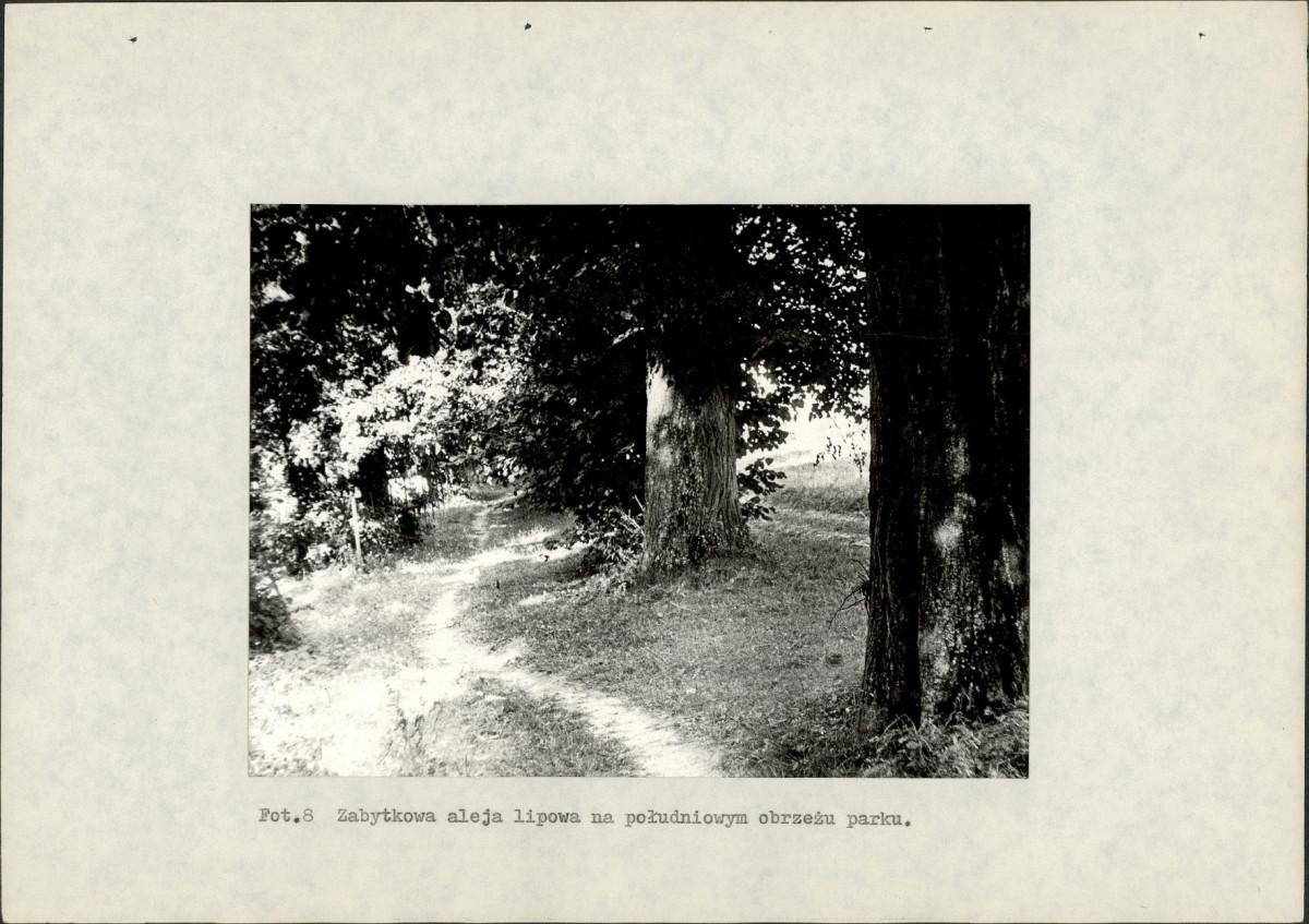 EP - Ewidencja parkowa, skan nr 38