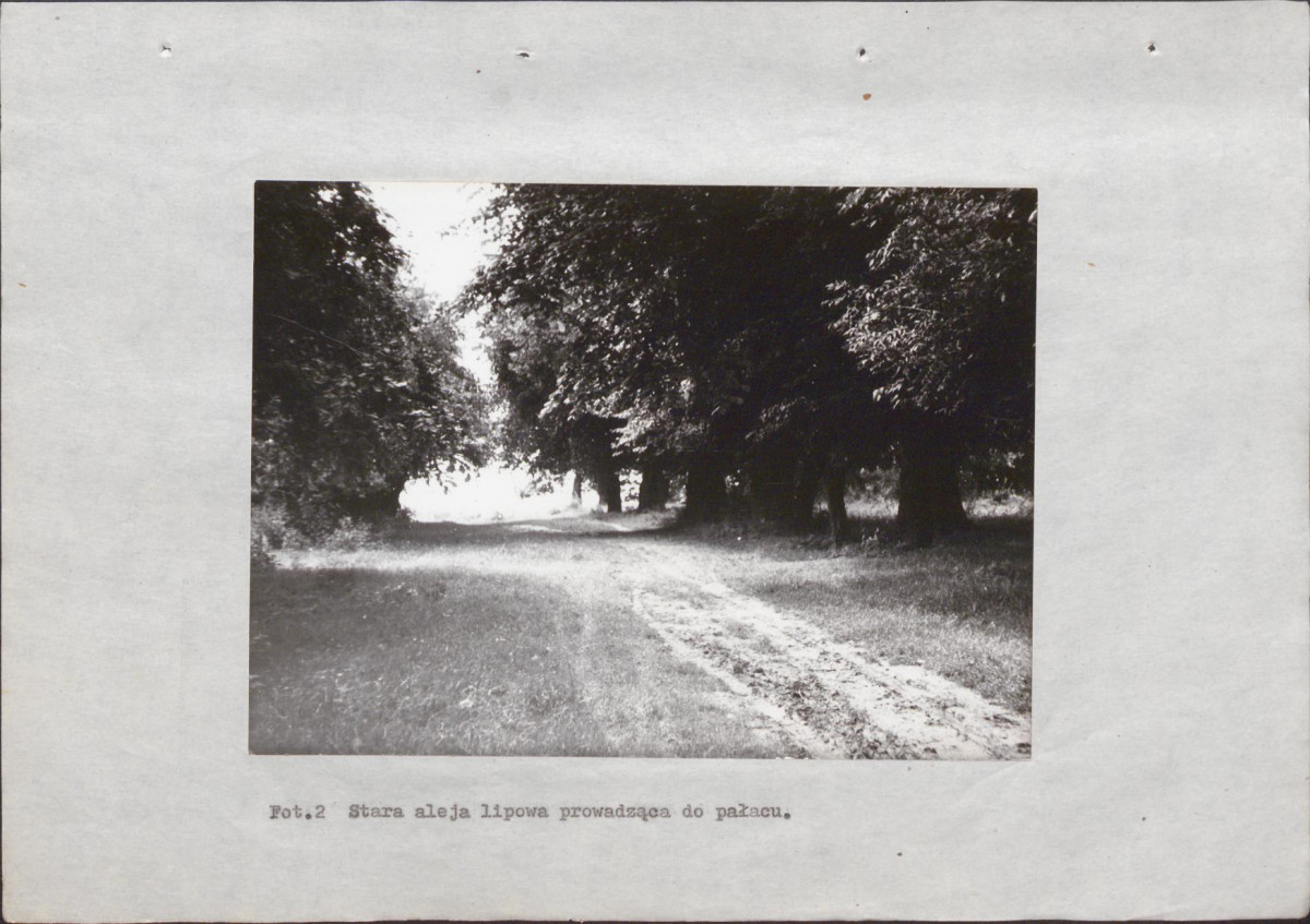 Ewidencja parkowa, skan nr 29