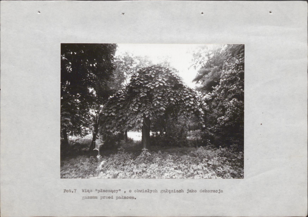 Ewidencja parkowa, skan nr 34