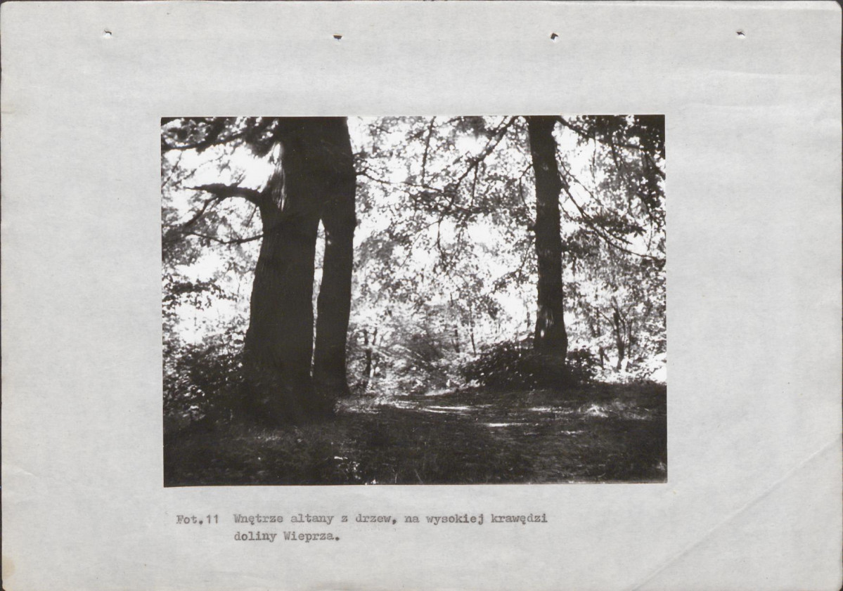 Ewidencja parkowa, skan nr 38