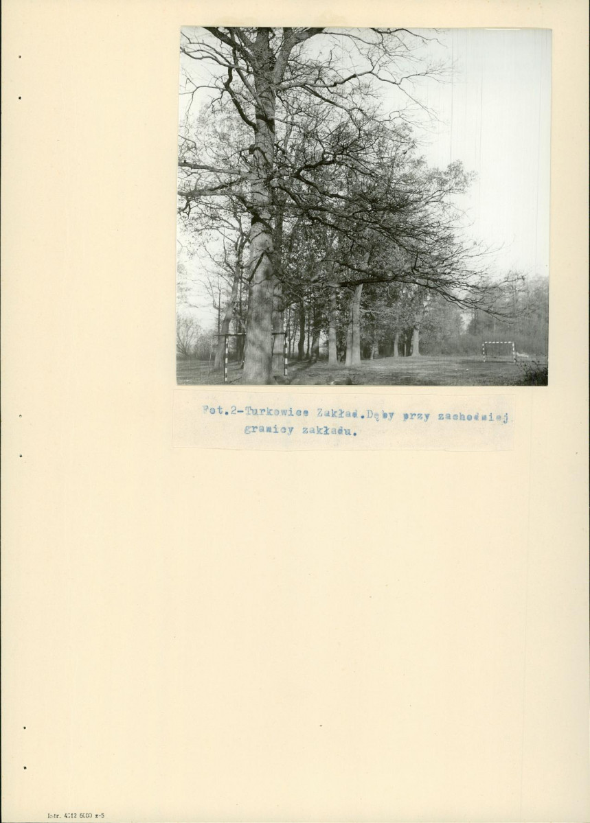 EP - Ewidencja parkowa, skan nr 14
