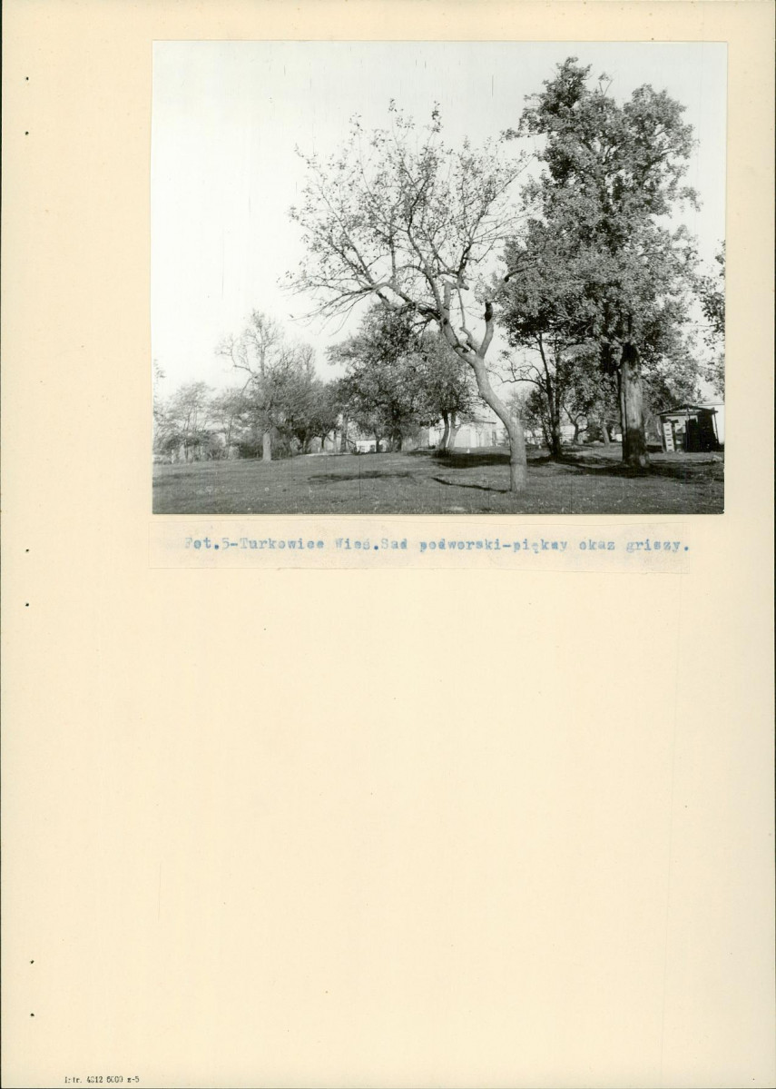 EP - Ewidencja parkowa, skan nr 17