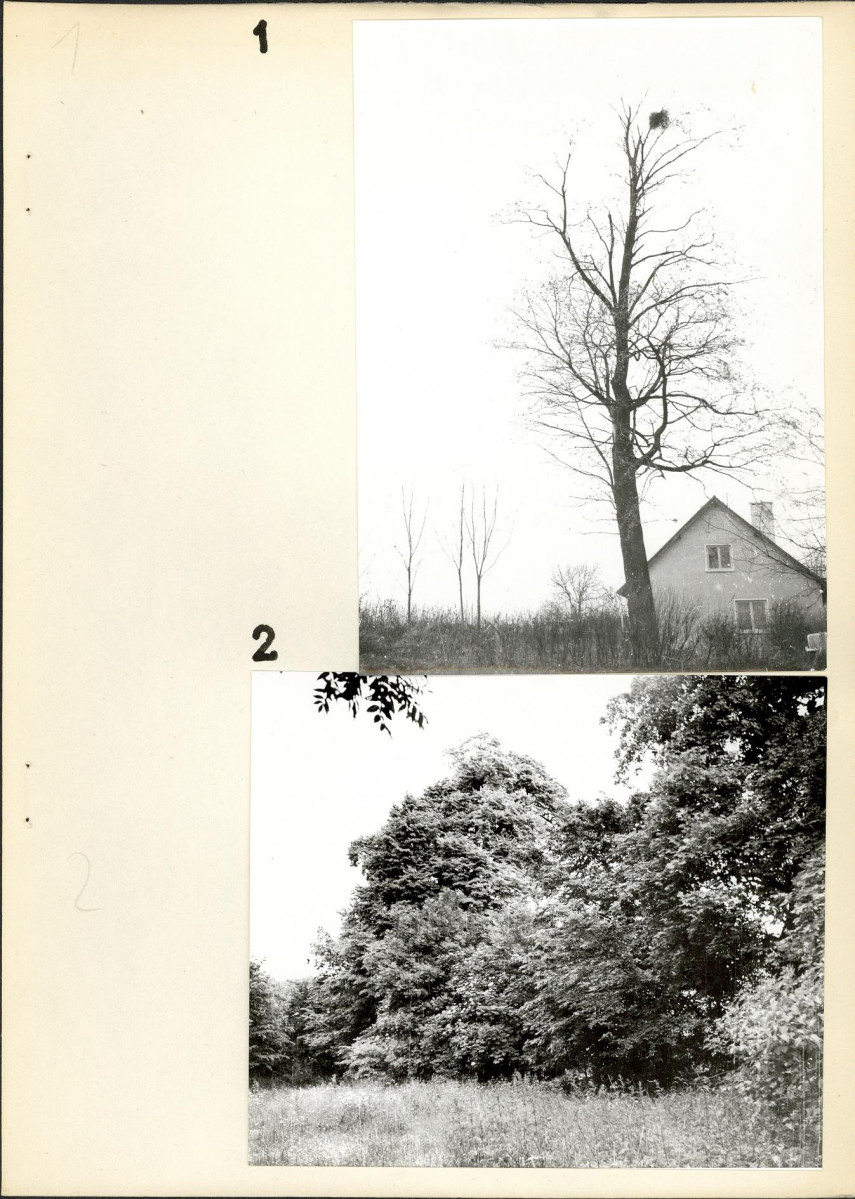 Ewidencja parkowa, skan nr 15
