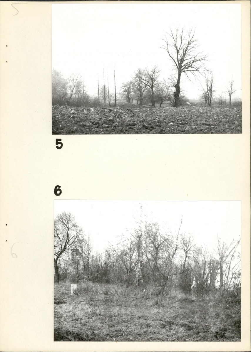 Ewidencja parkowa, skan nr 17