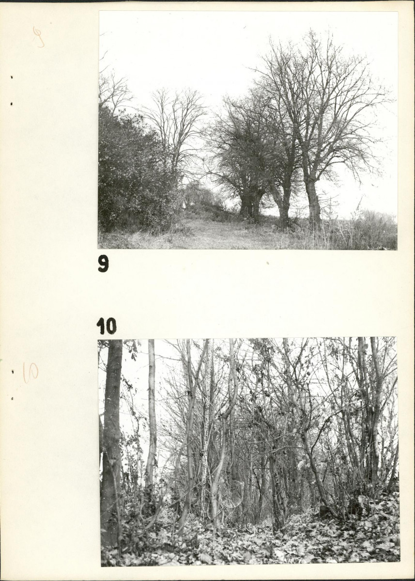 Ewidencja parkowa, skan nr 19